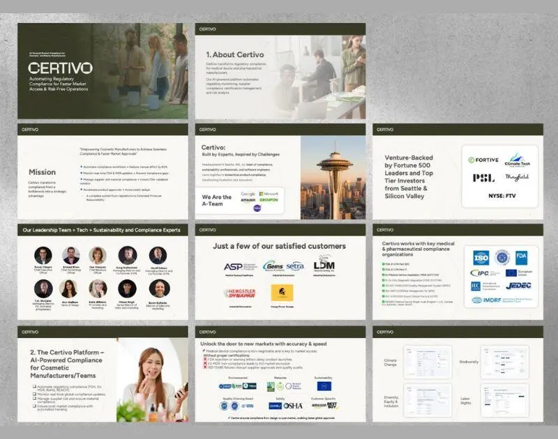 presentation design service Penji example