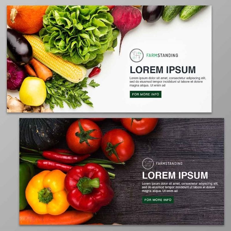 Web design services